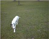 (Description) File 01 of 34 - Ughher - 0001.jpg (1/1)