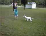 Ughher - 0013-Dog-by Dennis Ughher.jpg