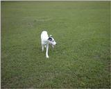 (Description) File 14 of 34 - Ughher - 0014.jpg (1/1)