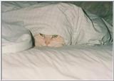 Re: Sheba (cat)