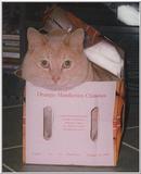 Re: My Old Yeller Cat  1/3 JPG