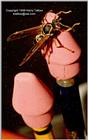 Why You Should Not Chew Erasers - ktatlow@xta.com.jpg