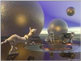 from 'Cats in Cyberspace'
