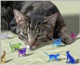 Cats in Cyberspace