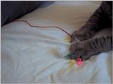 play time