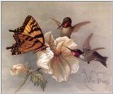 [Painting] Swallowtail and Hummingbirds
