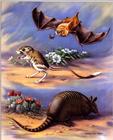 Illustration : Armadillo, Jerboa, and Golden Bat