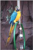 Less interesting animals than usual - as01p028.jpg