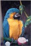 Less interesting animals than usual - as01p029.jpg