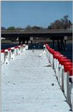 A flock of seagulls - as01p052.jpg