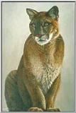 Big cats: Painting 3 of 4