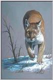 Big cats: Painting 4 of 4