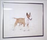 BULLTERRIERPIC~S