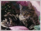 Cute Kitties For the Group ( Dedicated to Uni & Yaliht ) - c kat14.jpg(1/1) 80663 bytes