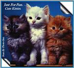 Cute Young Pussy Pic. - cats05a.jpg(1/1) 59407 bytes