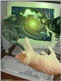from 'Cats in Cyberspace'