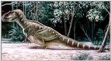 dino4