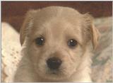 Need ID please - dcal000420.jpg