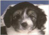Need ID please - dcal000427.jpg