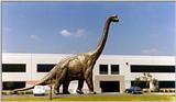 Dinomania (2 pics)