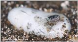 SSSSSome Baby Pictures #1