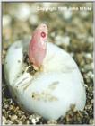 SSSSSome Baby Pictures #2