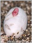 SSSSSome Baby Pictures #4