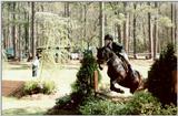 Horse Show - Aiken, SC - hs01.jpg