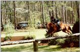 Horse Show - Aiken, SC - hs05.jpg