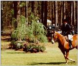 Horse Show - Aiken, SC - hs07.jpg