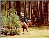 Horse Show - Aiken, SC - hs08.jpg