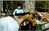 Horse Show - Aiken, SC - hs09.jpg