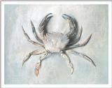 New art scans Idx B - jrnas 007 john-ruskin velvet-crab c.1870-1.jpg (1/1)
