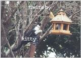 TWITCHY vs. KITTY 58.3K