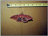 Huge moth - moth.jpg