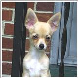 Daily photo of Sweety baby with no name yet!