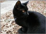 Baby boy - pc190022.jpg (1/1)