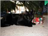 Baby boy - pc240006.jpg (1/1)