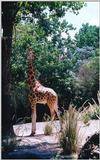 Re: Giraffes?