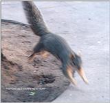 TWITCHY'S BIG LEAP!