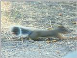 Twitchy's cousin DougTwitchy