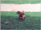 My little best friend 1