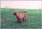 My little best friend 2