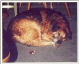 My old buddie