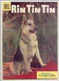 Rin Tin Tin