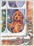 Christmas card c