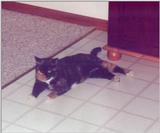 Maggie