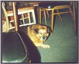 My big best friend