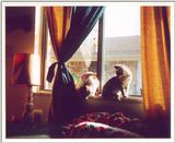 Kitties 9