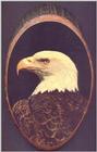 D'bird 1